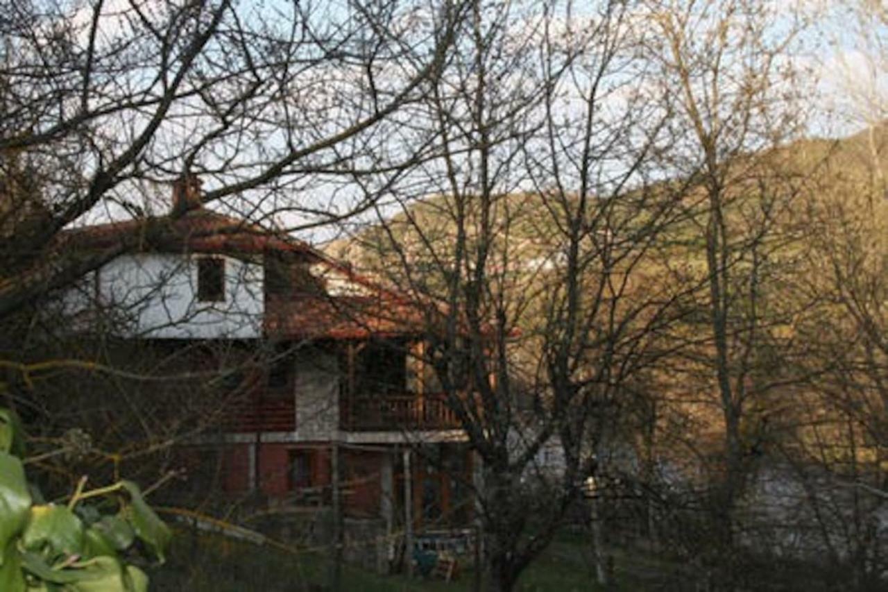 Riverside Haven Dolna Matka Buitenkant foto
